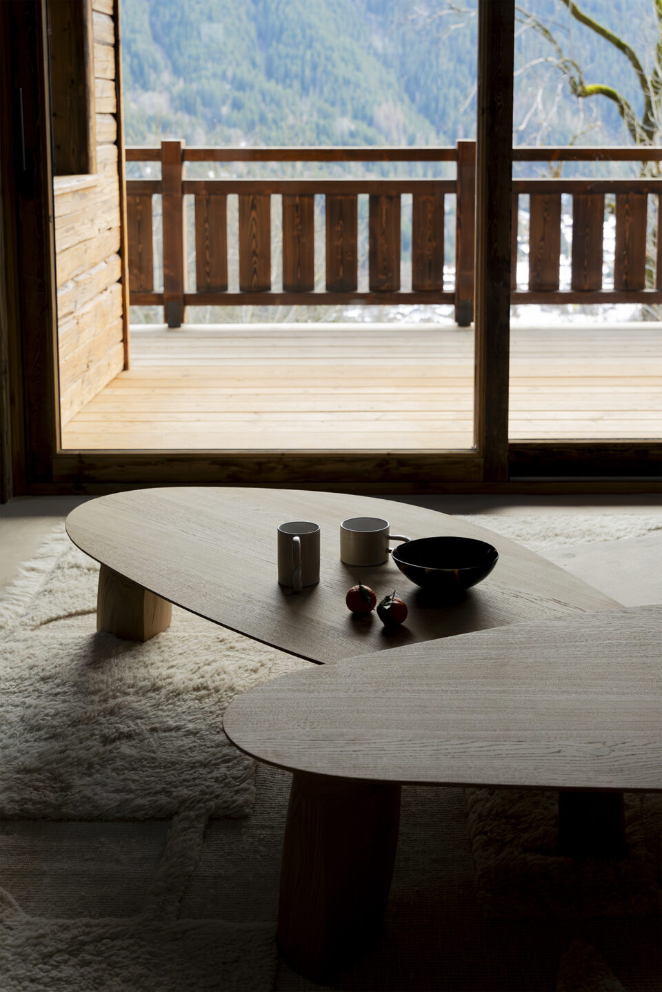 ALEX-CHALET-GIGOGNES-4-LD copie