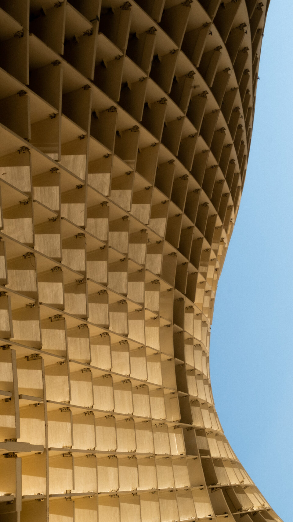 _DSF3411-1