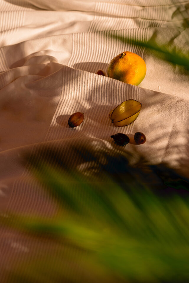 DENIA FRUITS-20X30