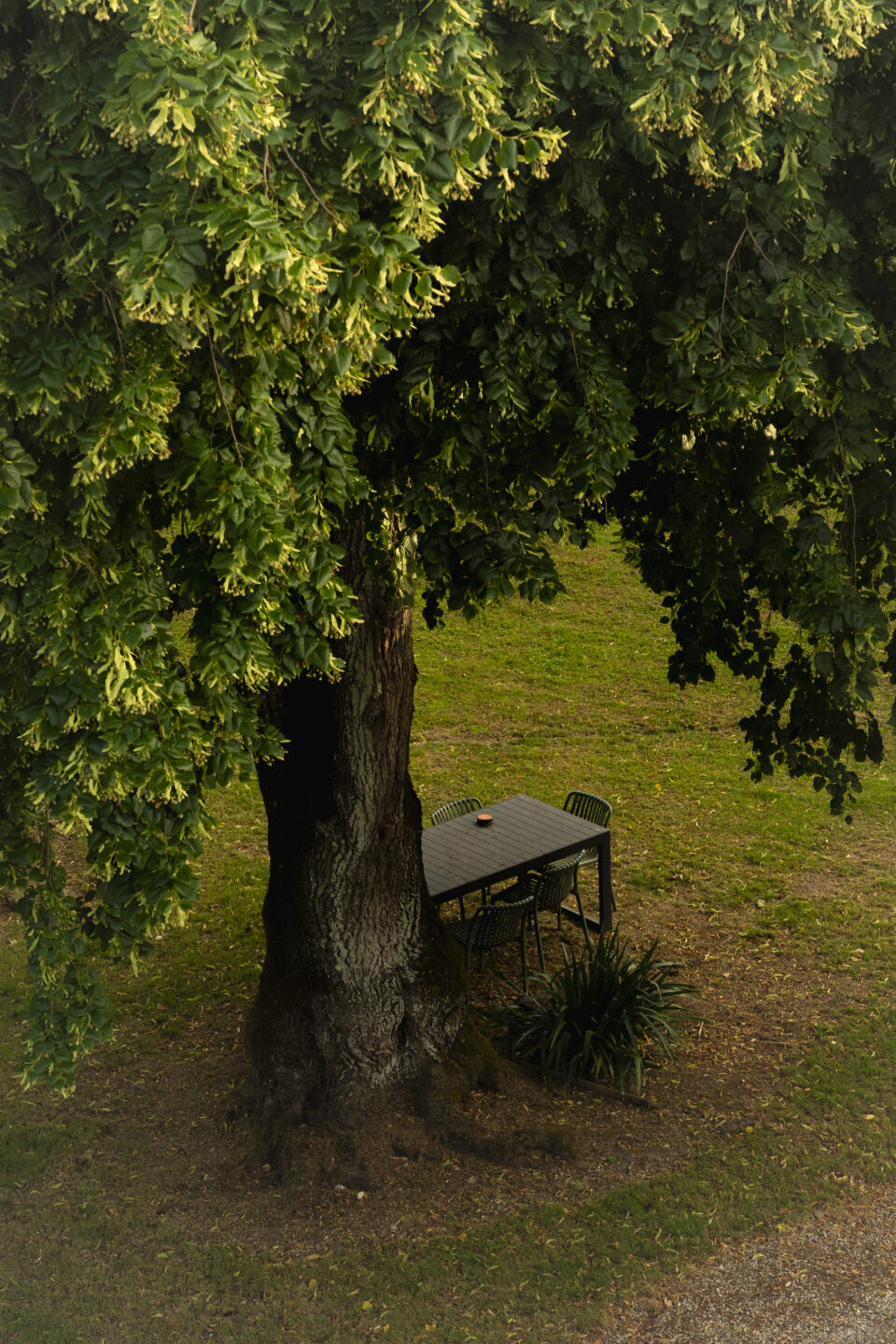 FERRAT-JARDIN-1-LD
