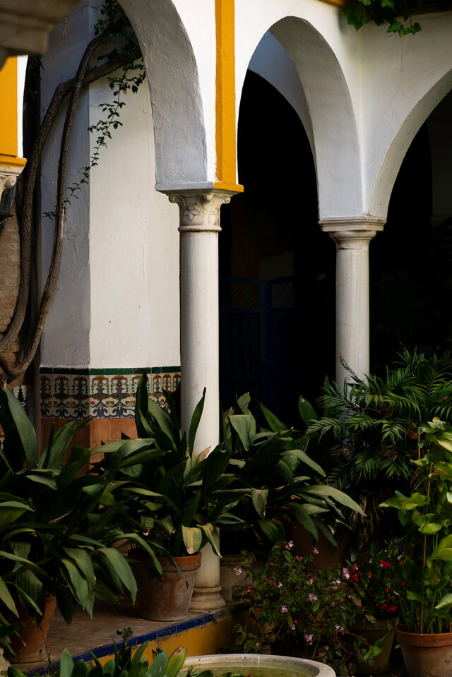 SEVILLE-20X30