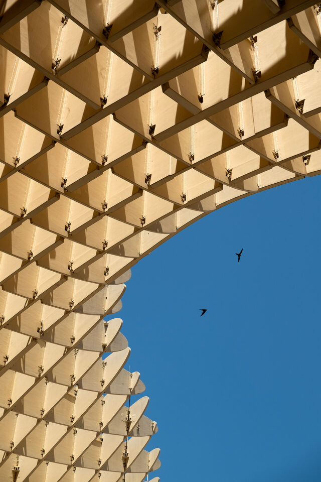 SEVILLE SETAS-30X45