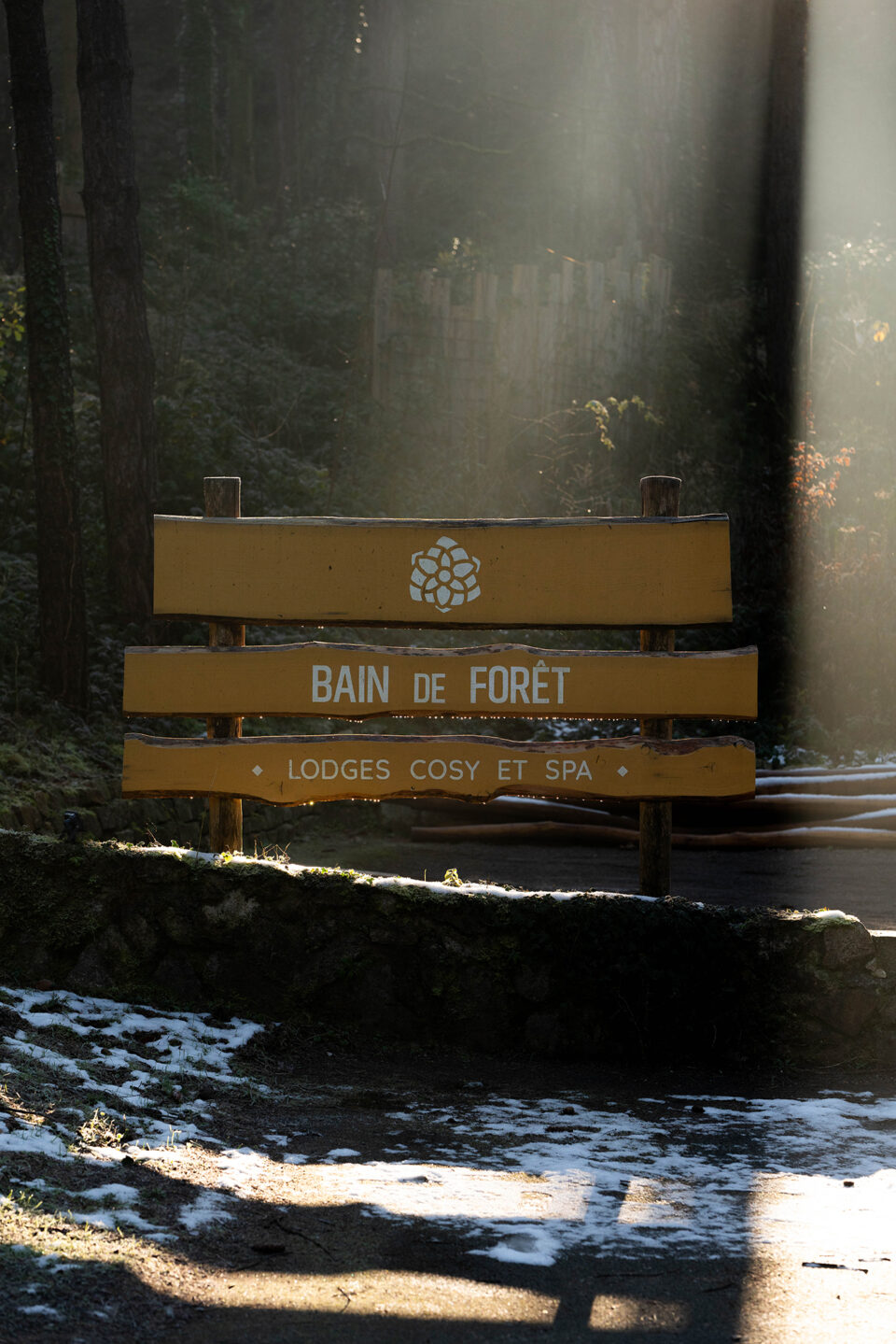 BAIN DE FORÊT-LD-001