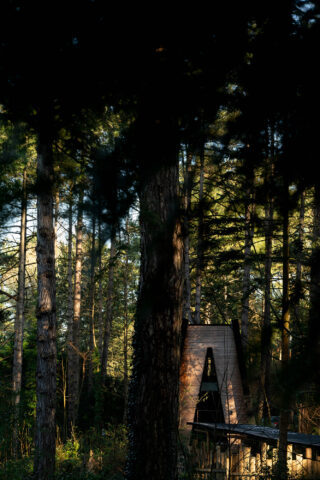BAIN DE FORÊT-LD-006