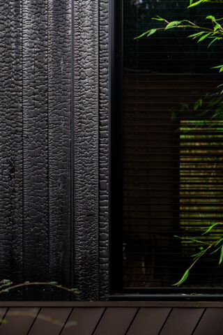 BAIN DE FORÊT-LD-109